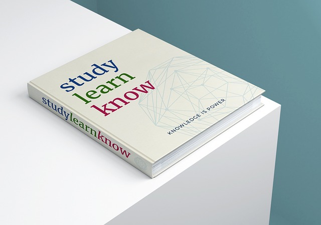 놓치면 후회할 2025 청년월세지원, 꼭 신청해야 하는 이유.