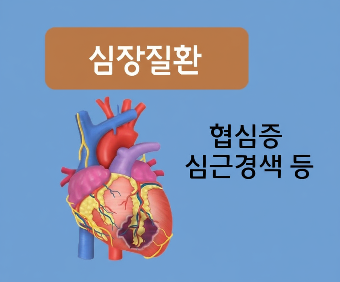 심장질환 이미지