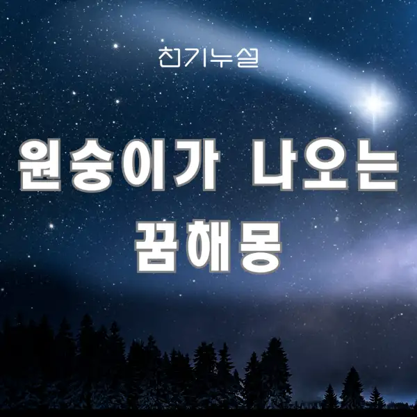 원숭이가 나오는 꿈해몽