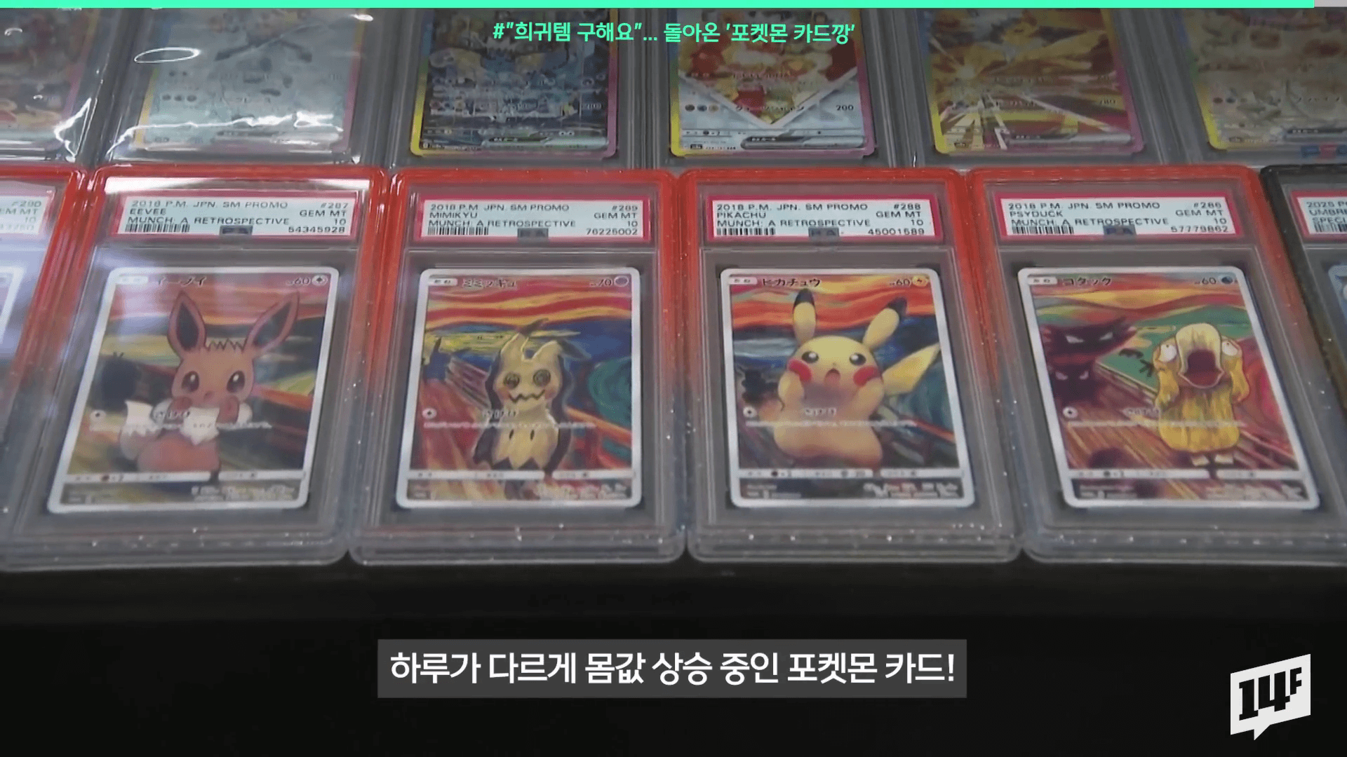 어른들의 새로운 돈 버는 방법 포켓몬 카드 오프라인 매장 및 자체 감정 시스템