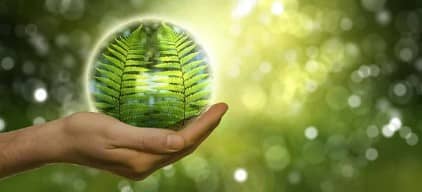 지속가능성 전문가 역량