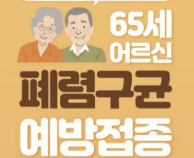 폐렴구균 예방접종 횟수 비용 무료 접종후 주의사항 총정리