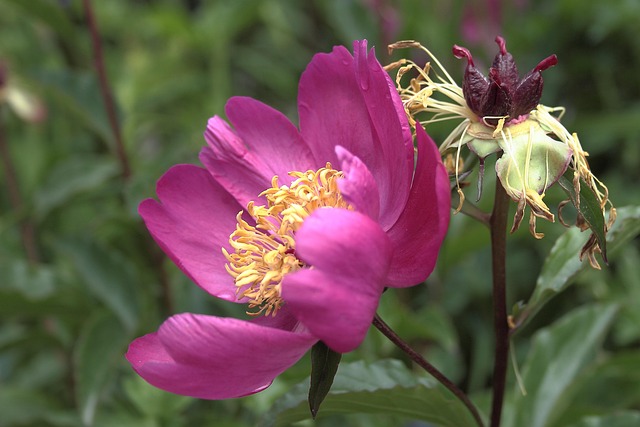 삼성 에어컨 곰팡이 냄새 제거