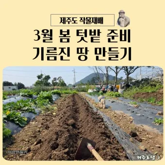 봄 텃밭 준비 토양 갈기 석회 퇴비 잡초 씨 제거_13