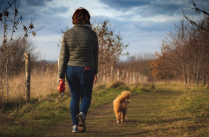 퇴행성 관절염 운동