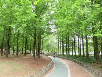 경기도 1박 2일 여행지 추천 베스트 5곳 총정리 완벽 코스_24