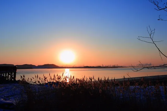 통영 연화도 수국 꽃길 산책 코스와 최적 관람 시기_9