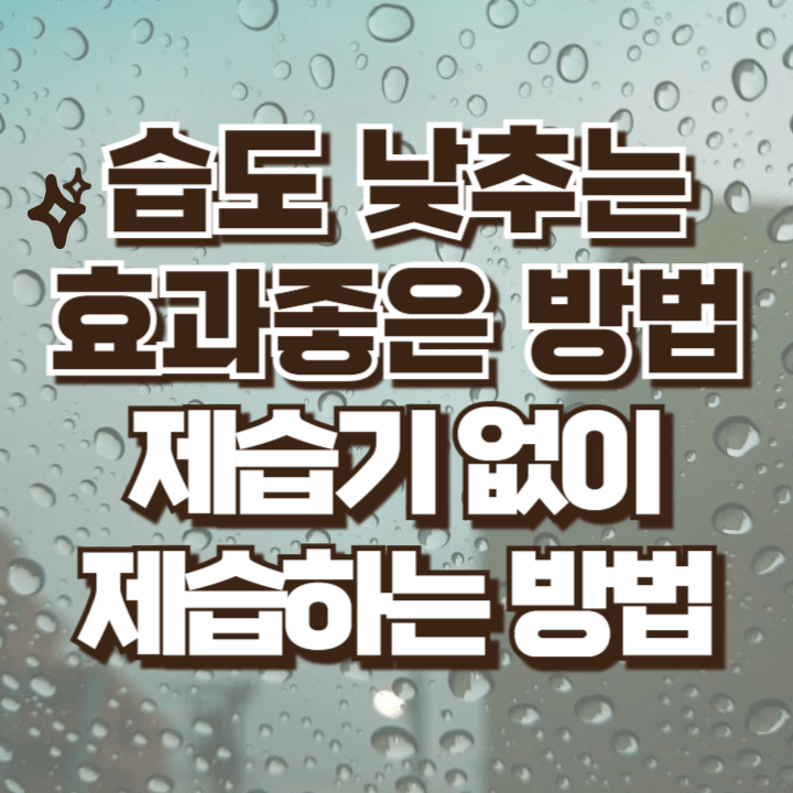 습도 낮추는 효과적인 방법들 제습기 없이 제습하기