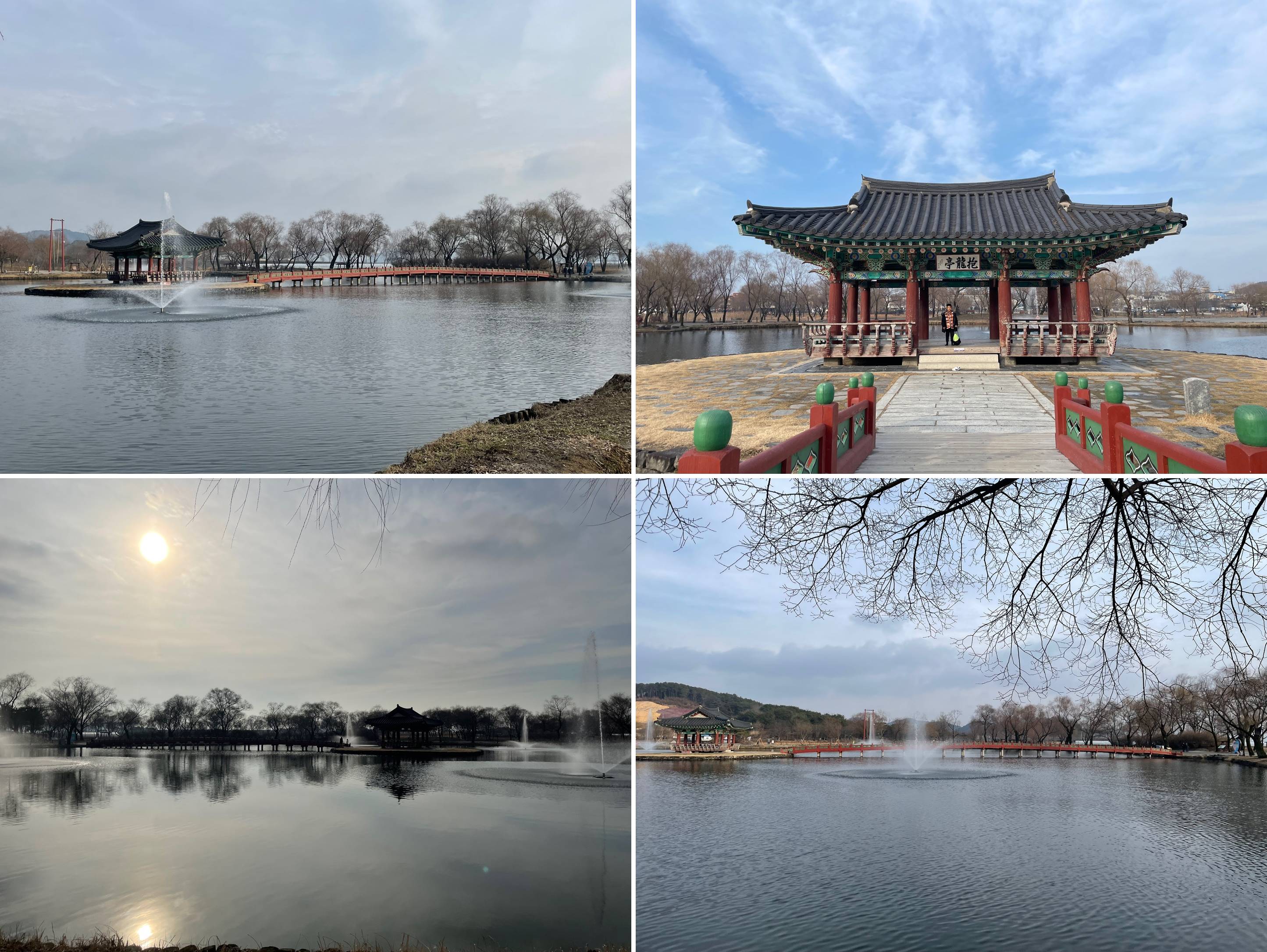 궁남지 풍경