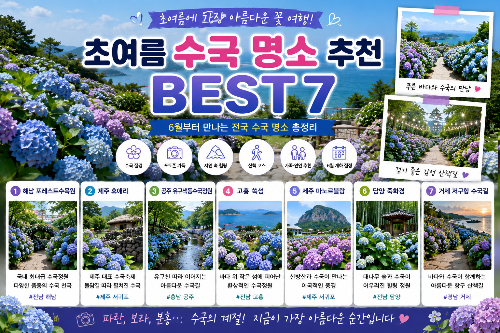 초여름 수국 명소 추천 BEST 7