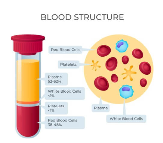 피의 농도와 노폐물의 정도