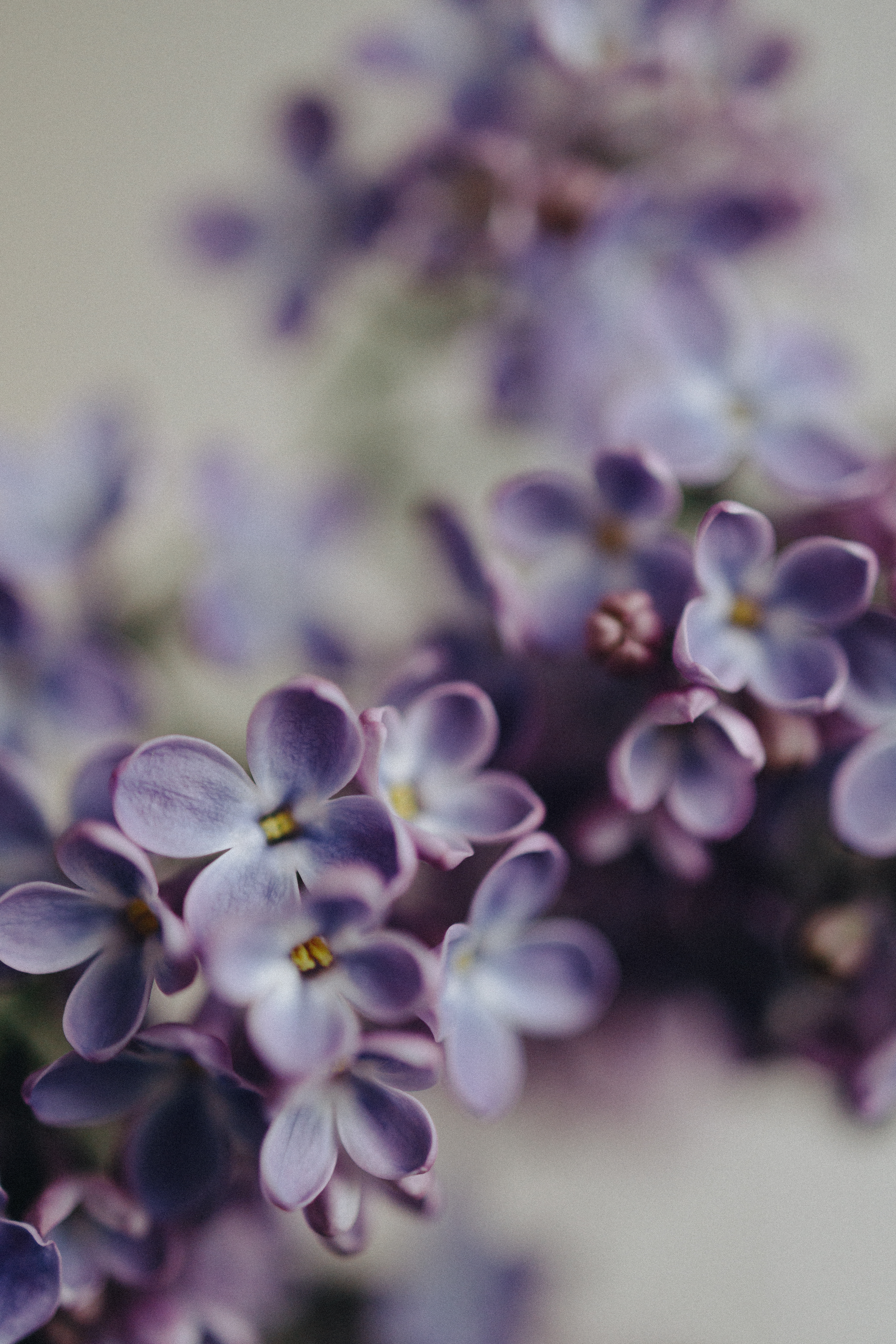 Random Photo
