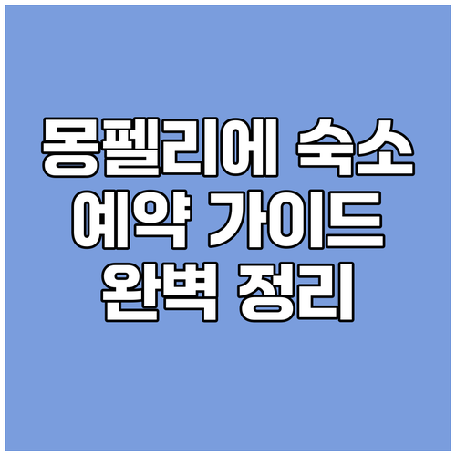 몽펠리에 숙소 예약 가이드 완벽 정리