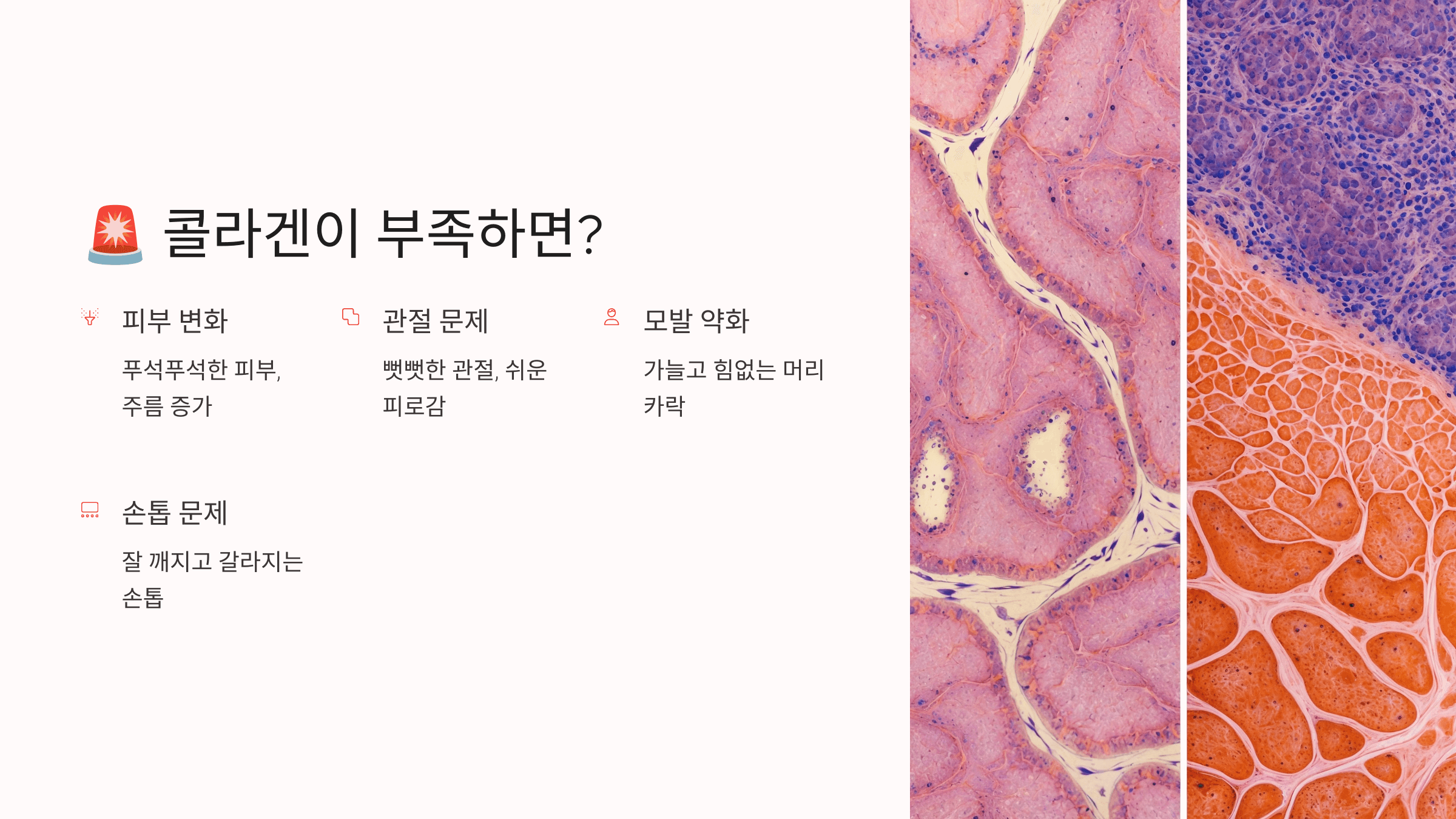 콜라겐과 관련된 사진입니다.