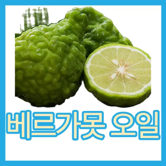 40~50대 우울증 해소 지중해식단 베르가못 폴리페놀 효능 추출물 부작용 베르가못 오일 향제대로 알기