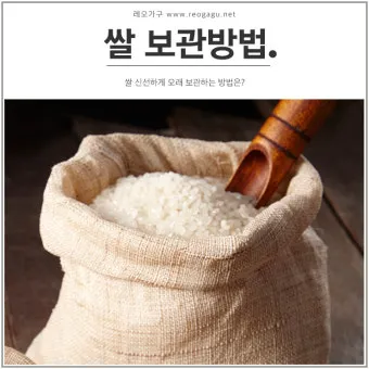 쌀 보관 김치냉장고 벌레 페트병 건식 보관 요령_2