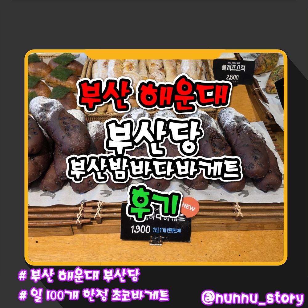 부산당 초코바게트 부산밤바다바게트