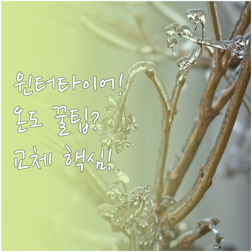 윈터타이어 성능 저하 방지 온도 관리..