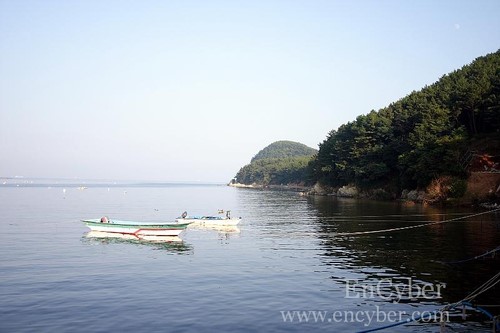 다대포 해수욕장 사진