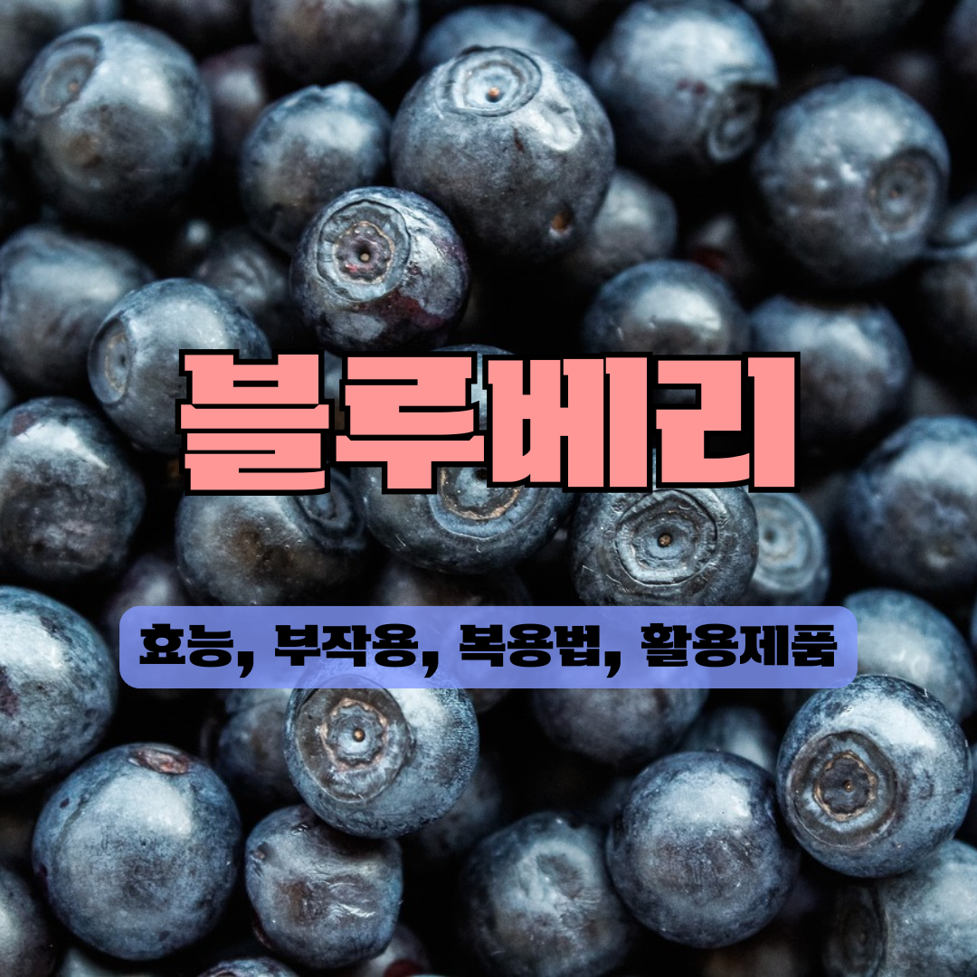 블루베리 효능
