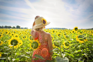 선크림&amp;#44; 유기자차&amp;#44; 무기자차