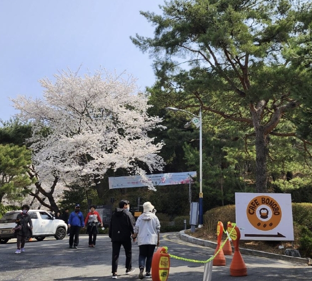 2024 서대문 봄빛축제