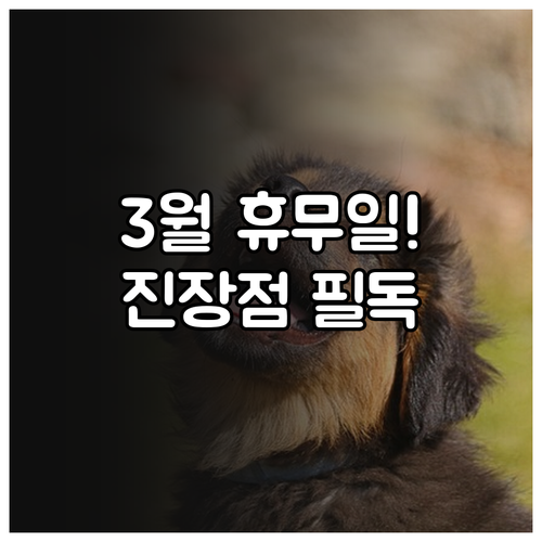 3월 롯데마트 진장점 쉬는 날과 영업..