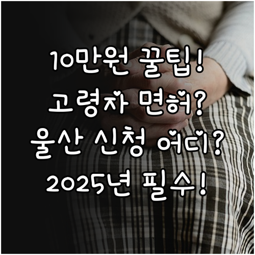 2025 고령 운전면허 반납 혜택 1..