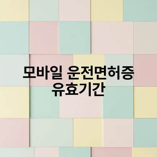 모바일 운전면허증 유효기간