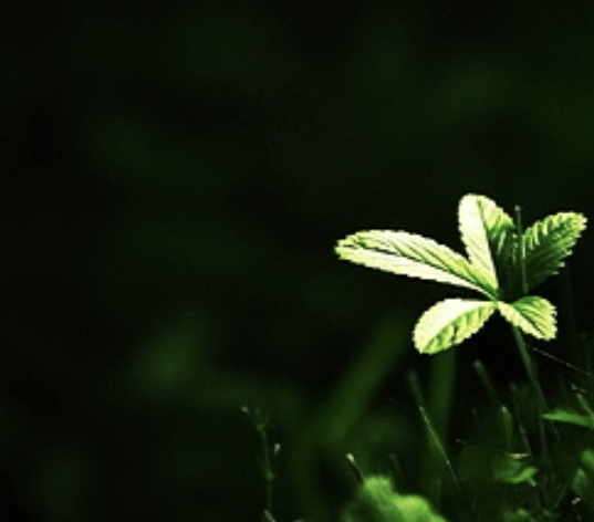 새 정부 정책 공약