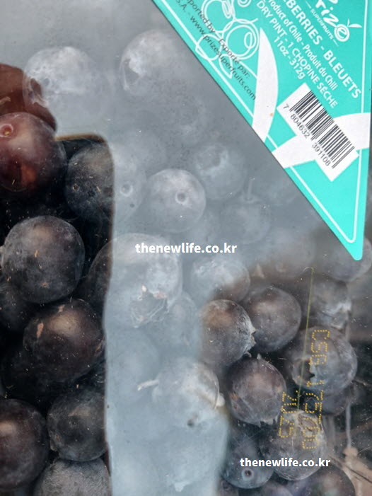 혈관 내피세포를 튼튼하게 만들어주는 고혈압에 좋은 음식 과일 블루베리 실물 사진