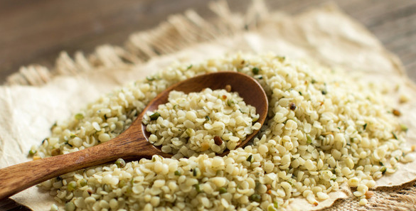 대마종자씨 (햄프씨드)