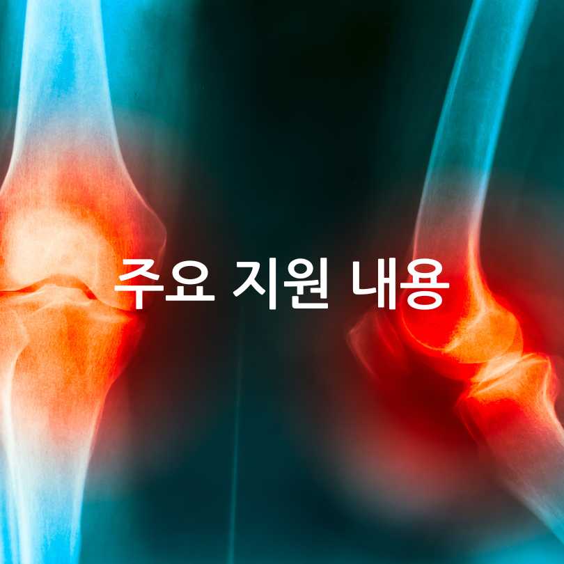 인공관절 수술비지원사업