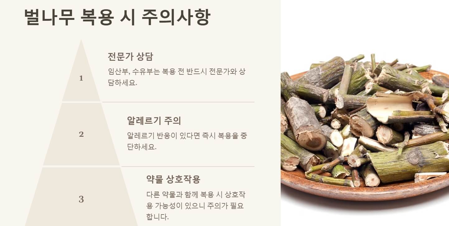 벌나무 효능 끓여먹는 방법