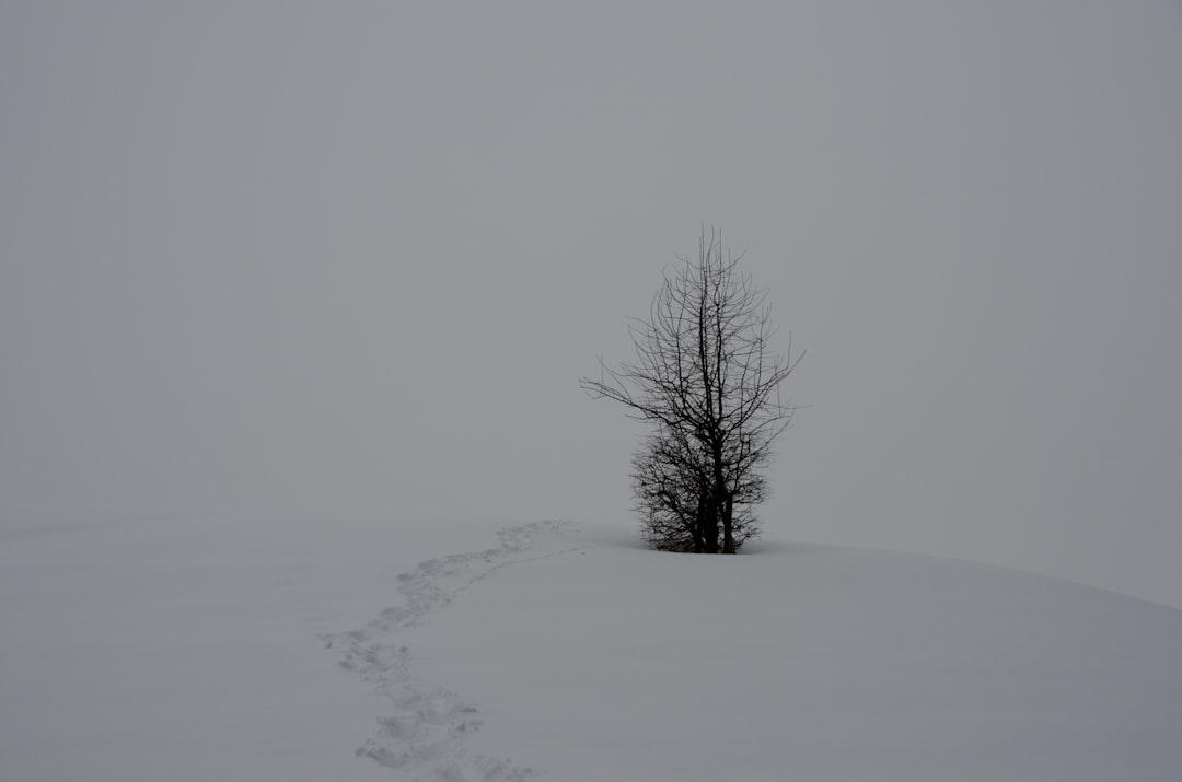 조건 - Conditions