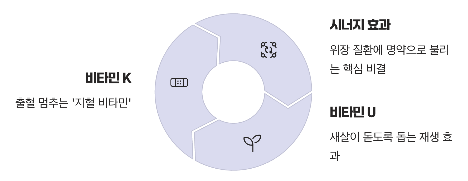 '비타민 K'와의 환상적인 팀플레이