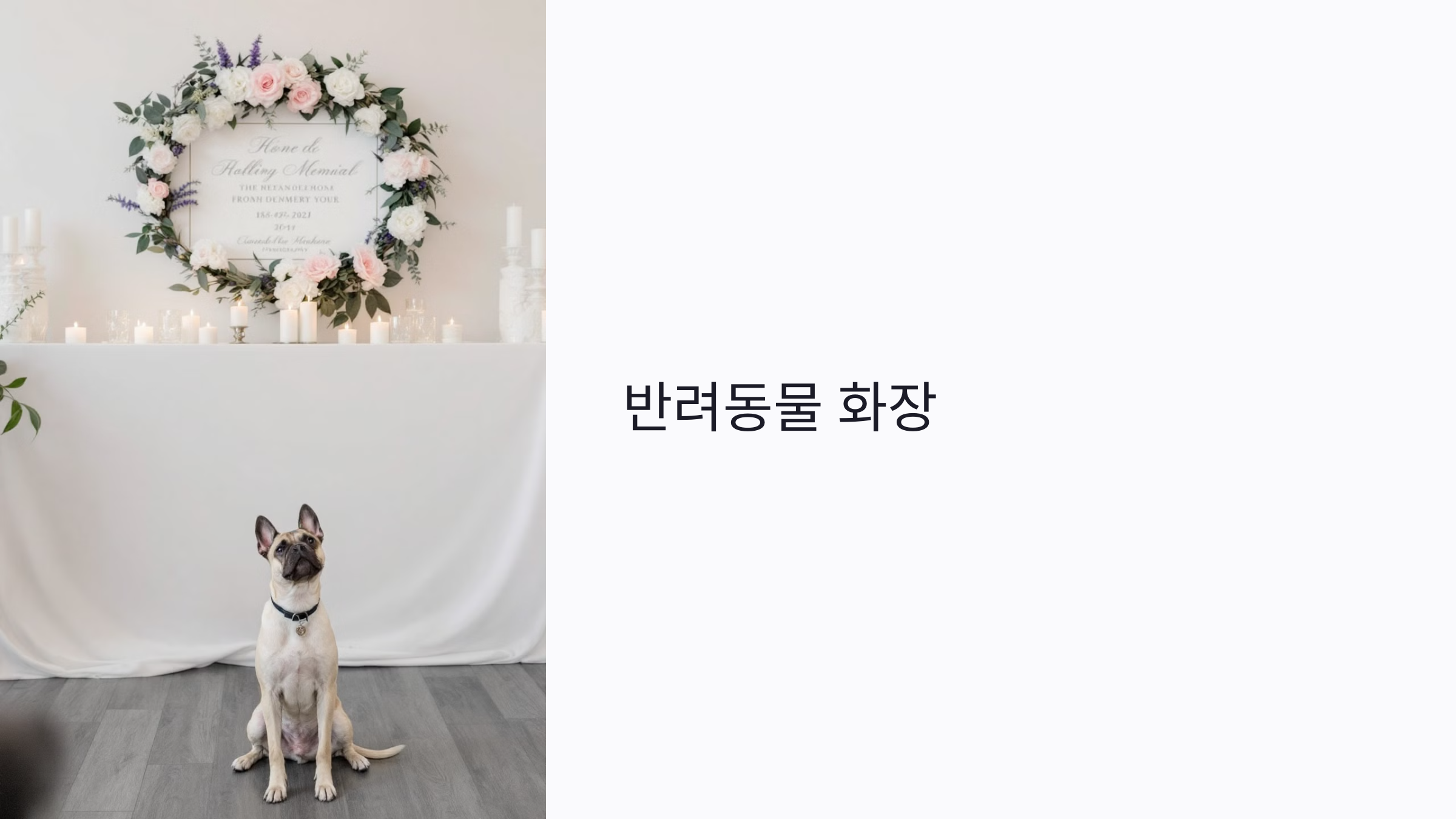 반려동물 화장이란? 왜 필요한가요?