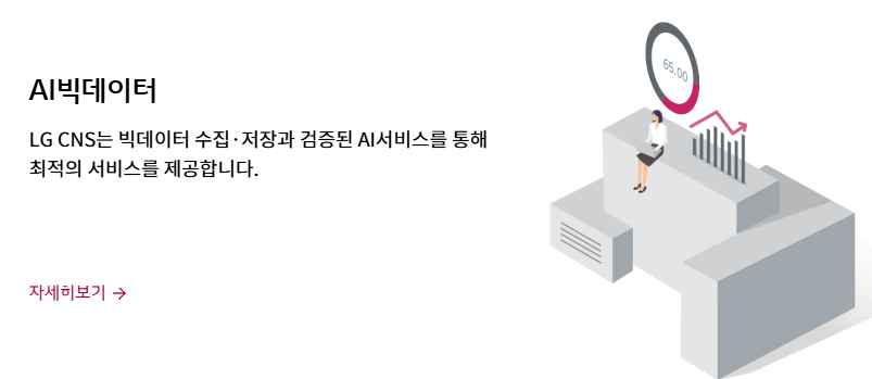 LG CNS 공모주 청약 공모가 상장 주관사