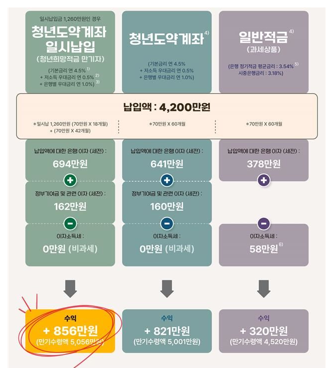 청년도약계좌 일시납입시 혜택