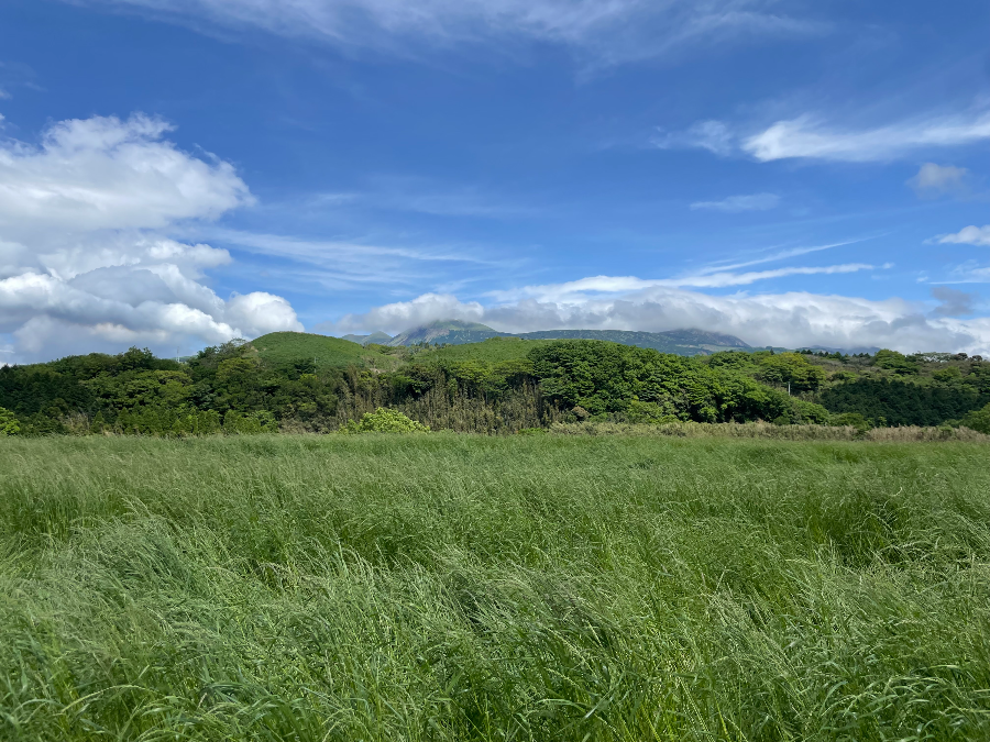 타코야키 오사카하치 라이만수 아소점 전문점 주변 전경