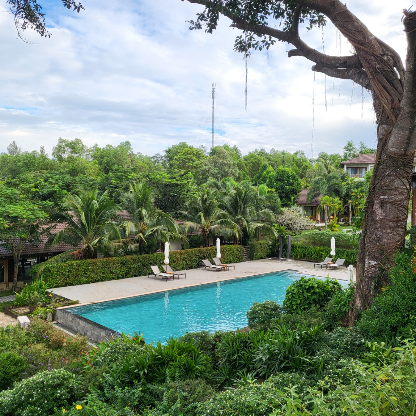 리조트 중앙에 있는 수영장