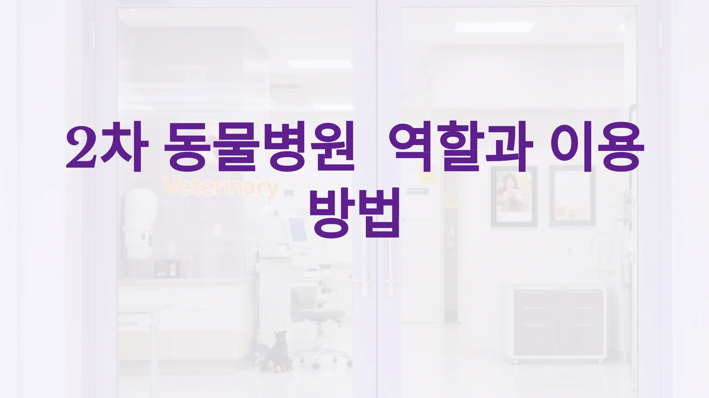 2차 동물병원이란? 역할과 이용 가이드