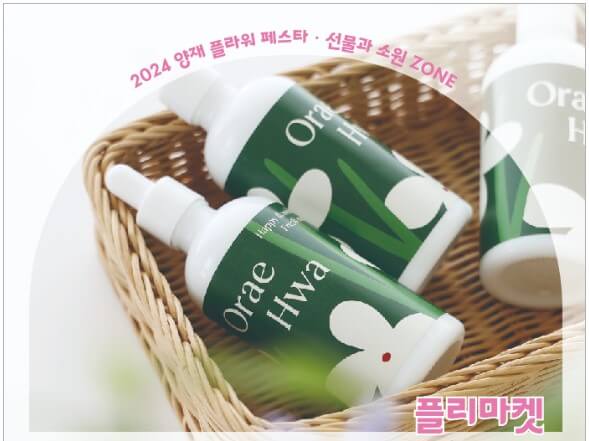 워킹앤츠