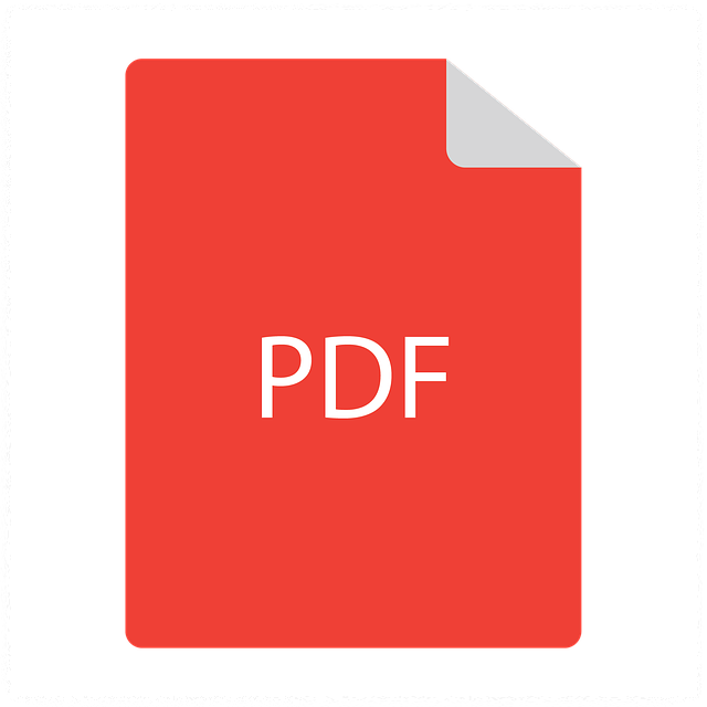 PDF가 문서 포맷의 대표인 이유 안내