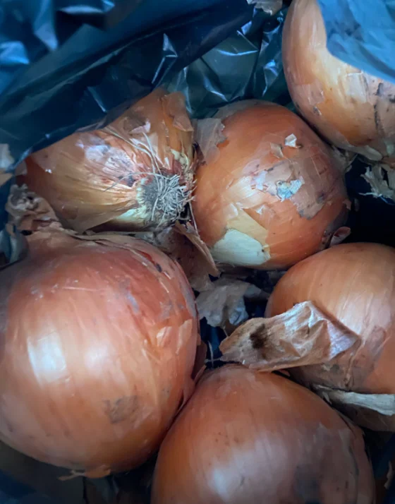 노랑머리야채과일