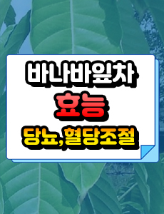 바나바잎차 효능과 먹는법. 추천 제품 소개