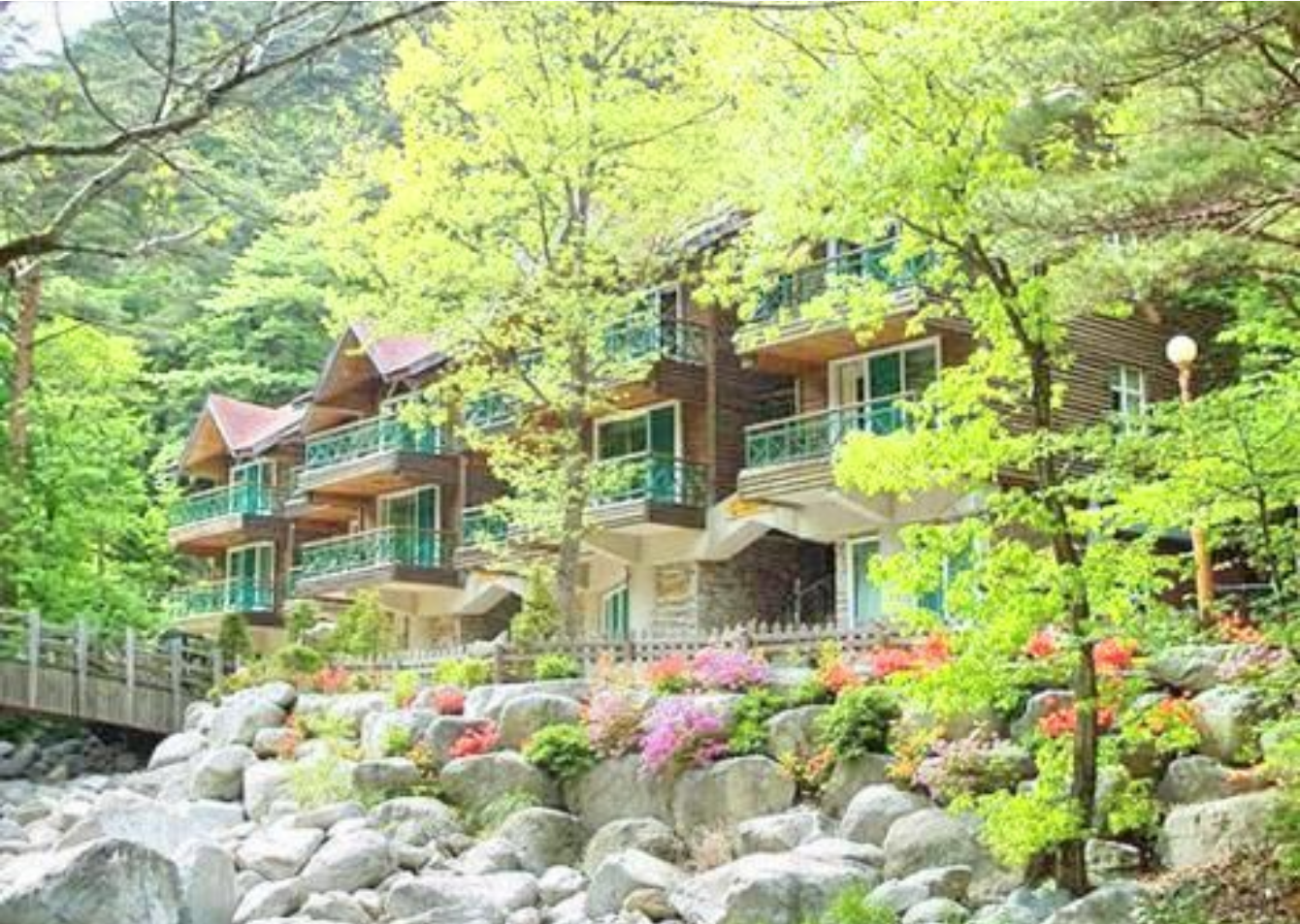 대관령-자연휴양림-전경