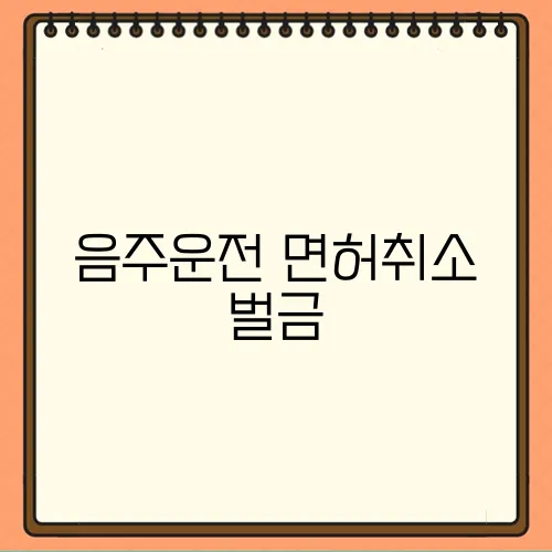 음주운전 면허취소 벌금