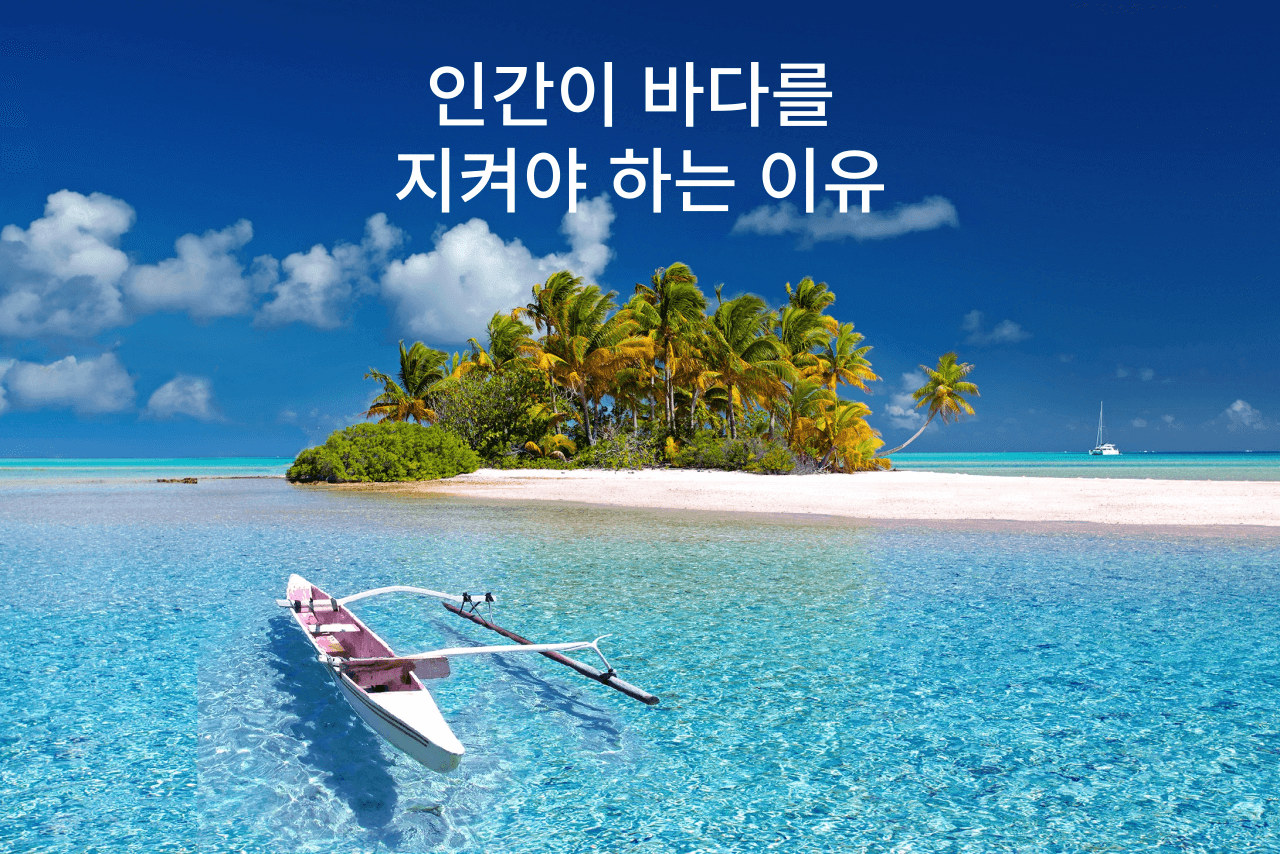 바다 산성화, 그 책임은 인간의 몫