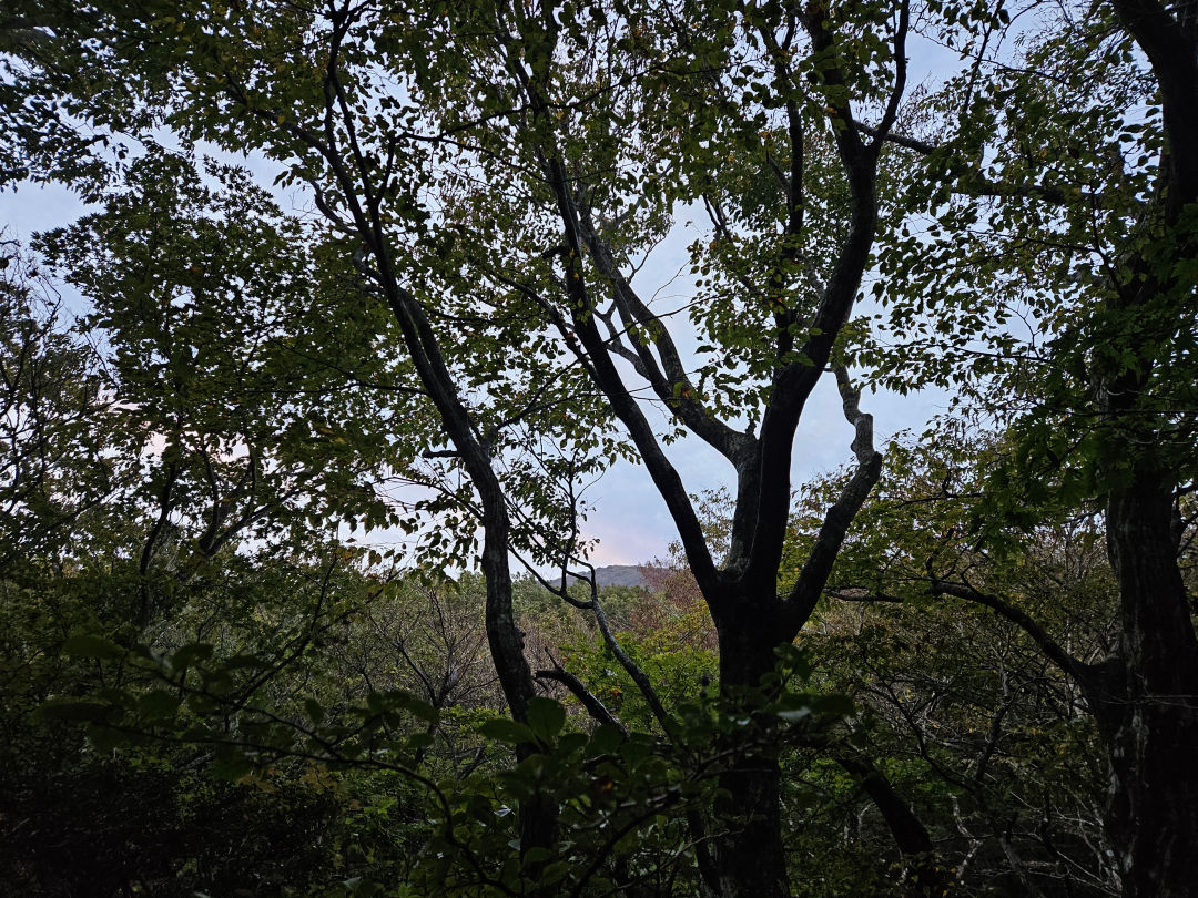 한라산 성판악 탐방로